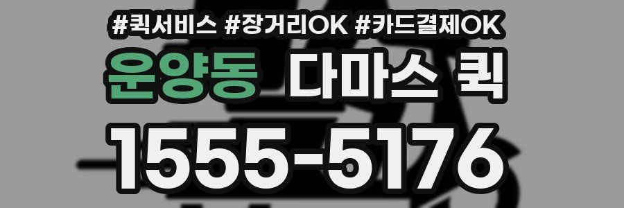 운양동 다마스 퀵