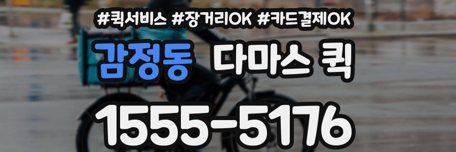 감정동 다마스 퀵