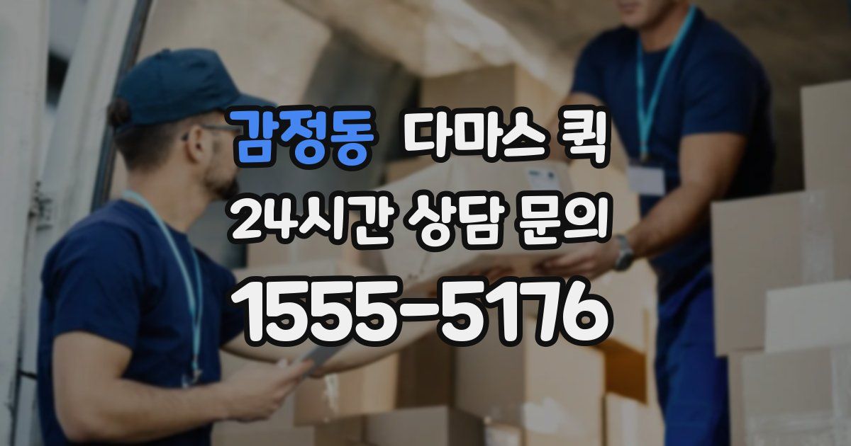 감정동 다마스 퀵