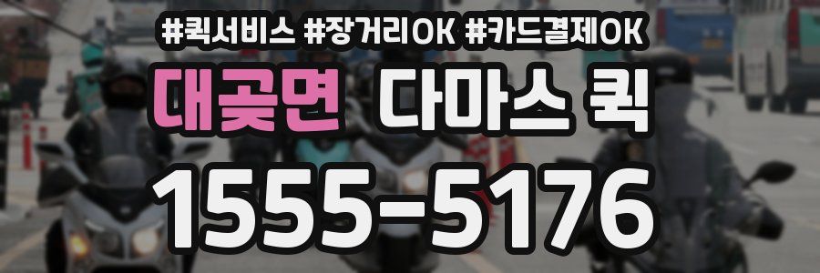 대곶면 다마스 퀵