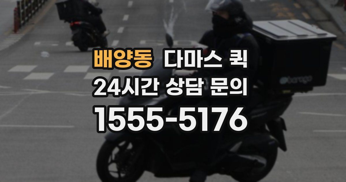 배양동 다마스 퀵