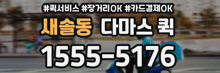 새솔동 다마스 퀵