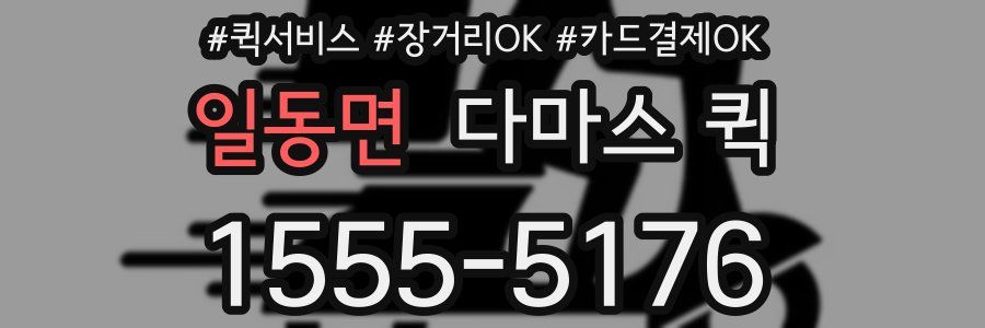 일동면 다마스 퀵