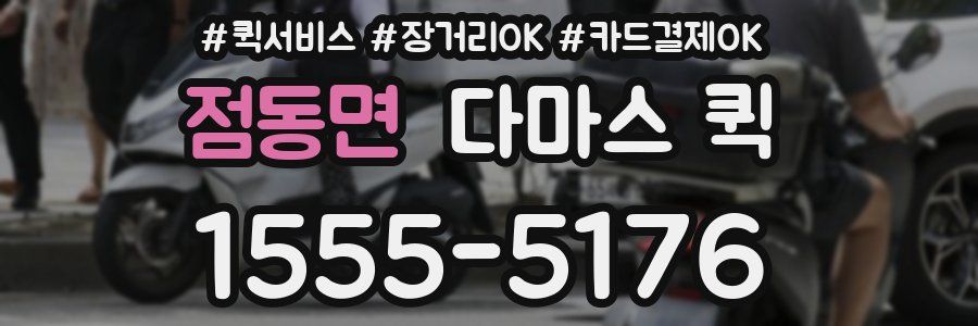 점동면 다마스 퀵