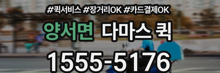 양서면 다마스 퀵