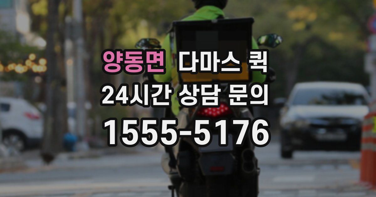 양동면 다마스 퀵