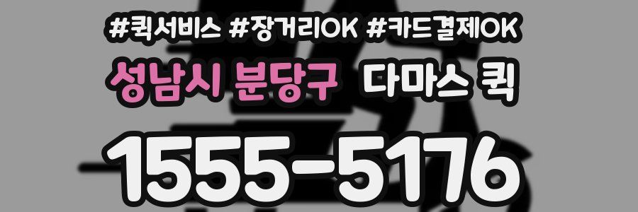 성남시 분당구 다마스 퀵
