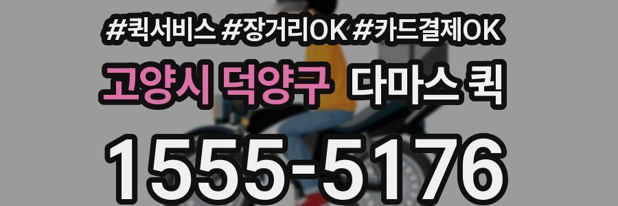 고양시 덕양구 다마스 퀵
