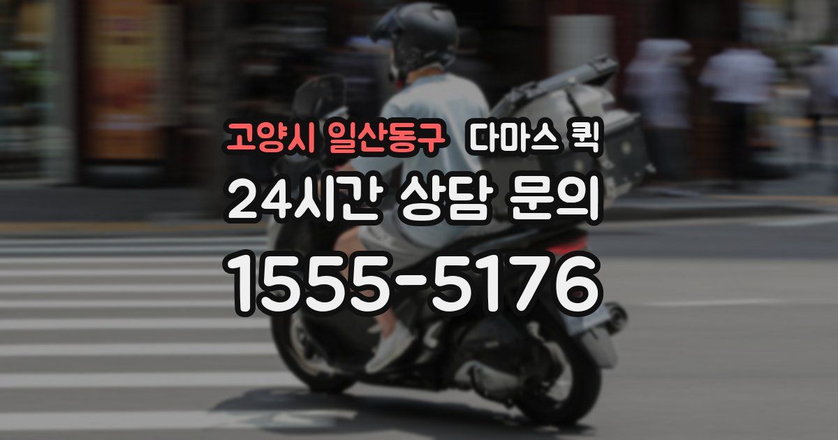 고양시 일산동구 다마스 퀵