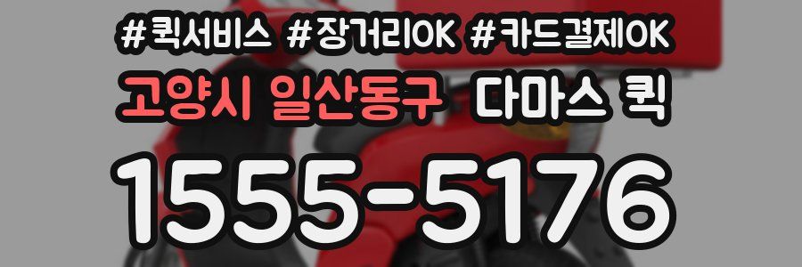 고양시 일산동구 다마스 퀵