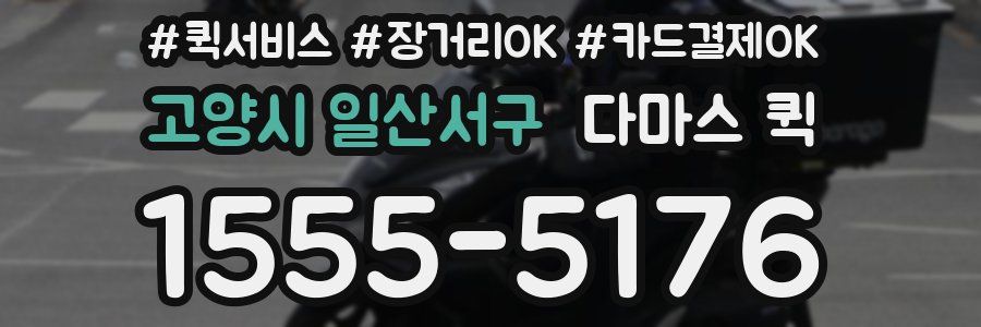 고양시 일산서구 다마스 퀵