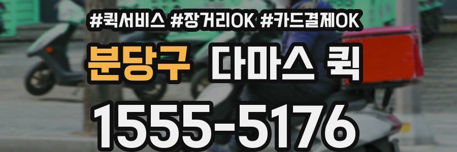 분당구 다마스 퀵