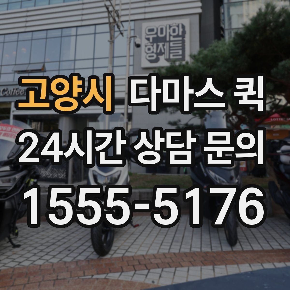 고양시 다마스 퀵 상업용 물품 운반에 필요한 정보