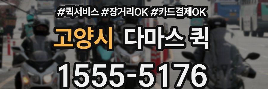 고양시 다마스 퀵