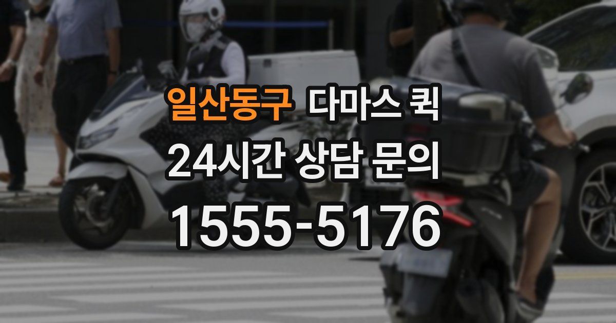 일산동구 다마스 퀵