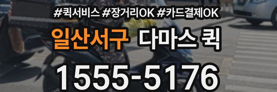 일산서구 다마스 퀵