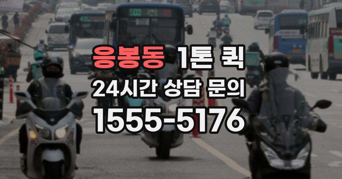 응봉동 1톤 퀵