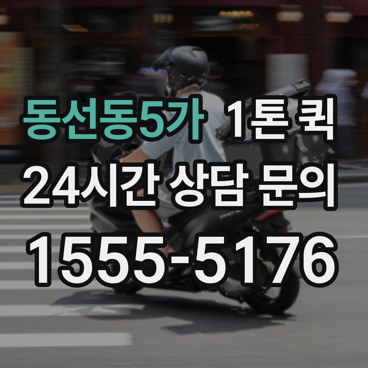 동선동5가 1톤 퀵 화물 크기별 적합 여부