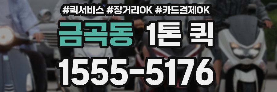 금곡동 1톤 퀵