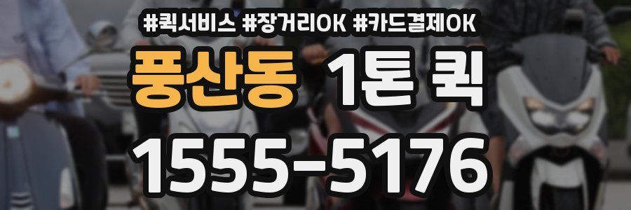 풍산동 1톤 퀵