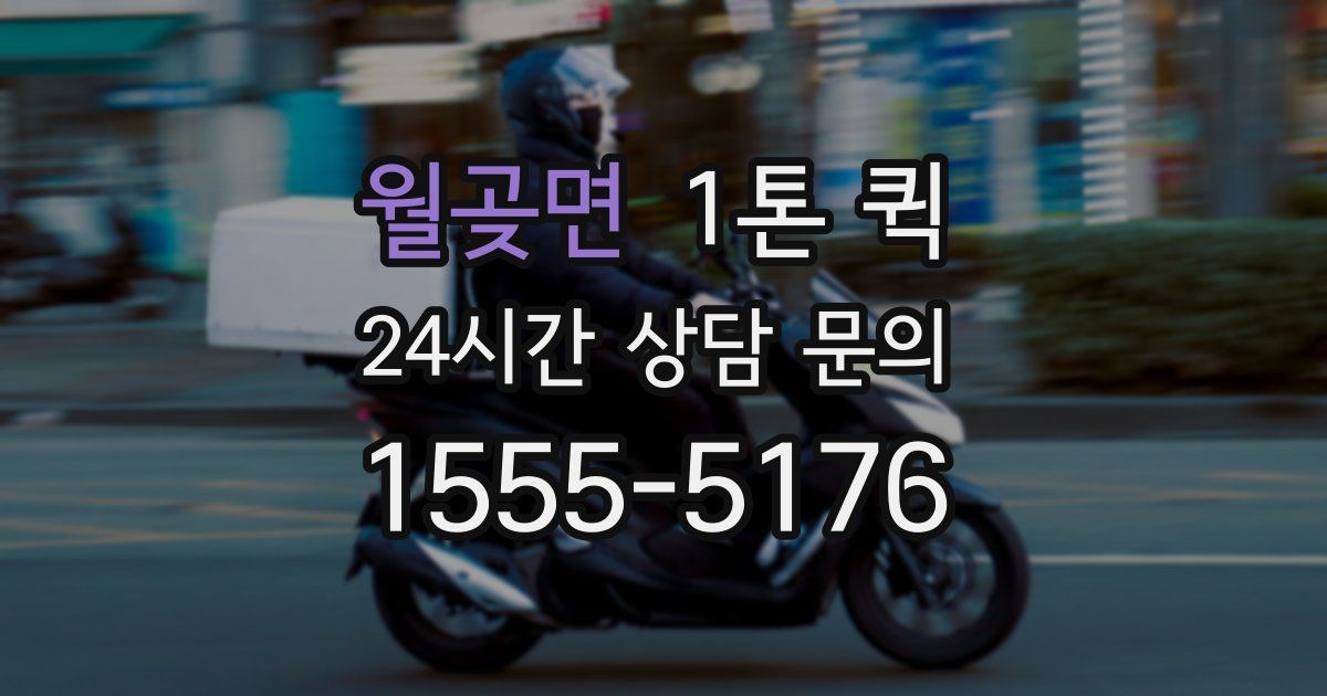 월곶면 1톤 퀵
