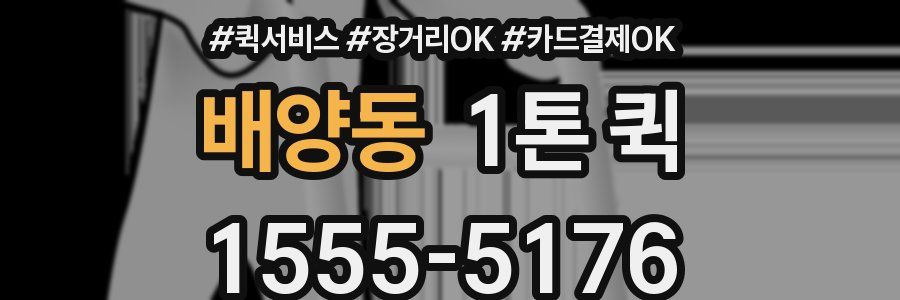 배양동 1톤 퀵