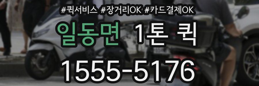 일동면 1톤 퀵