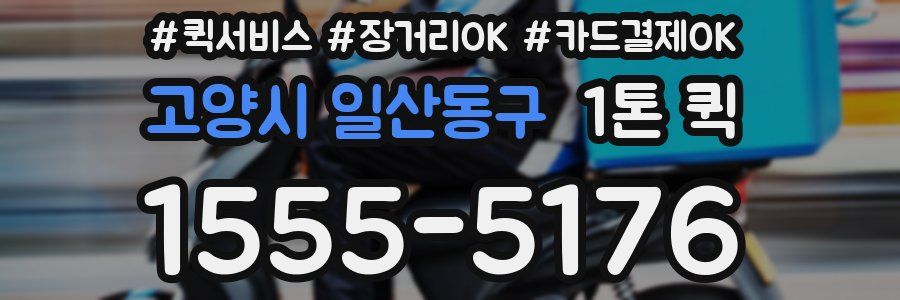 고양시 일산동구 1톤 퀵