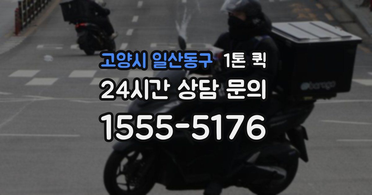 고양시 일산동구 1톤 퀵