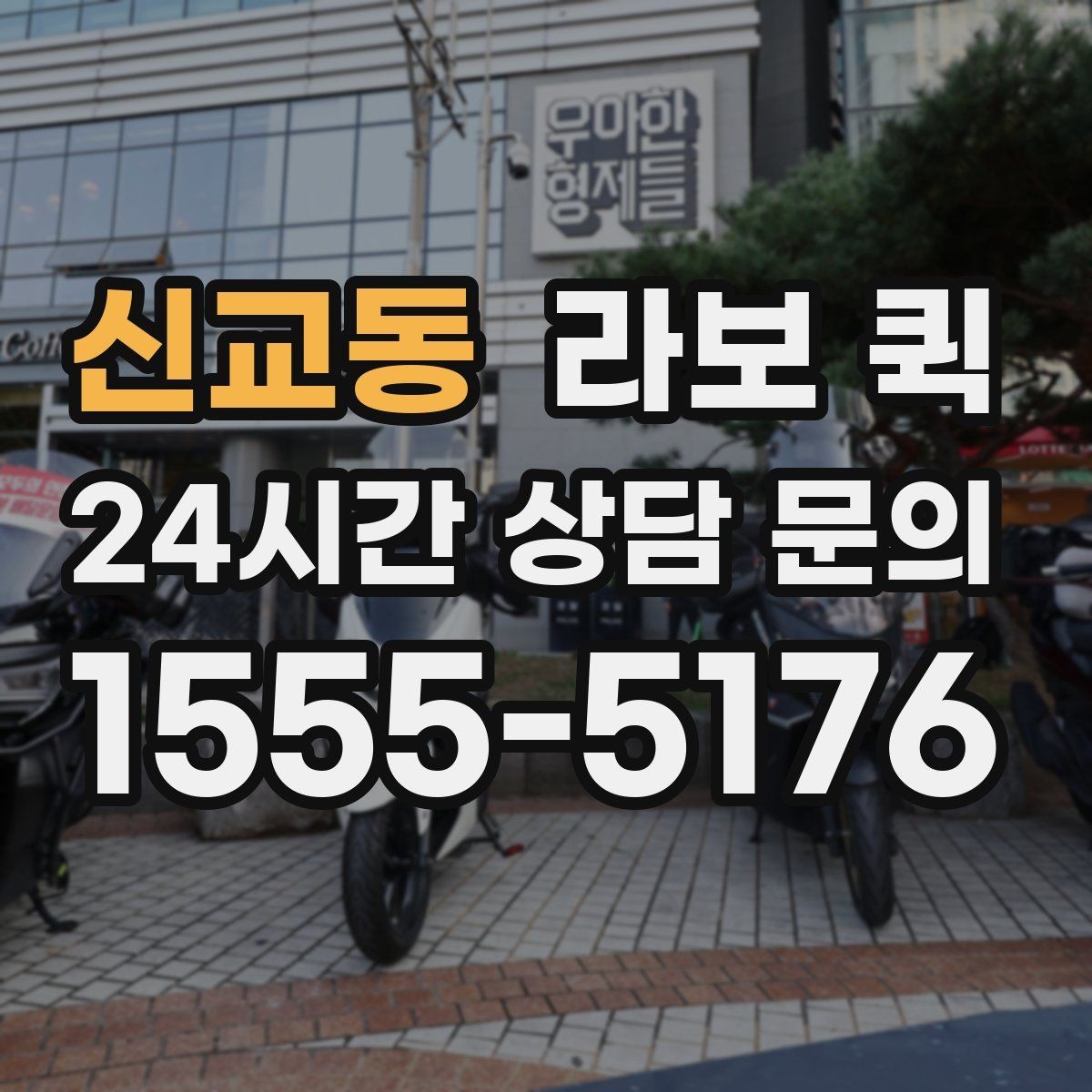 신교동 라보 퀵 점검 항목을 쉽게 정리
