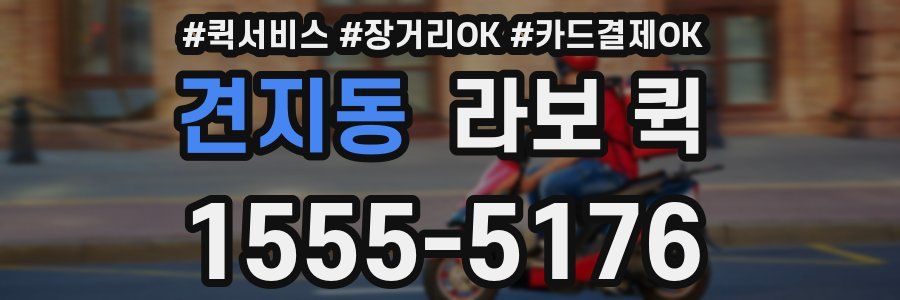 견지동 라보 퀵
