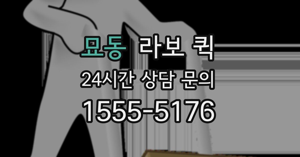 묘동 라보 퀵