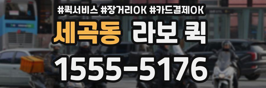 세곡동 라보 퀵