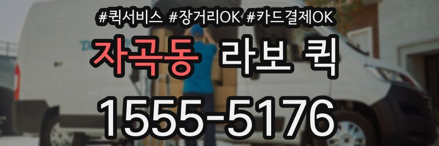 자곡동 라보 퀵