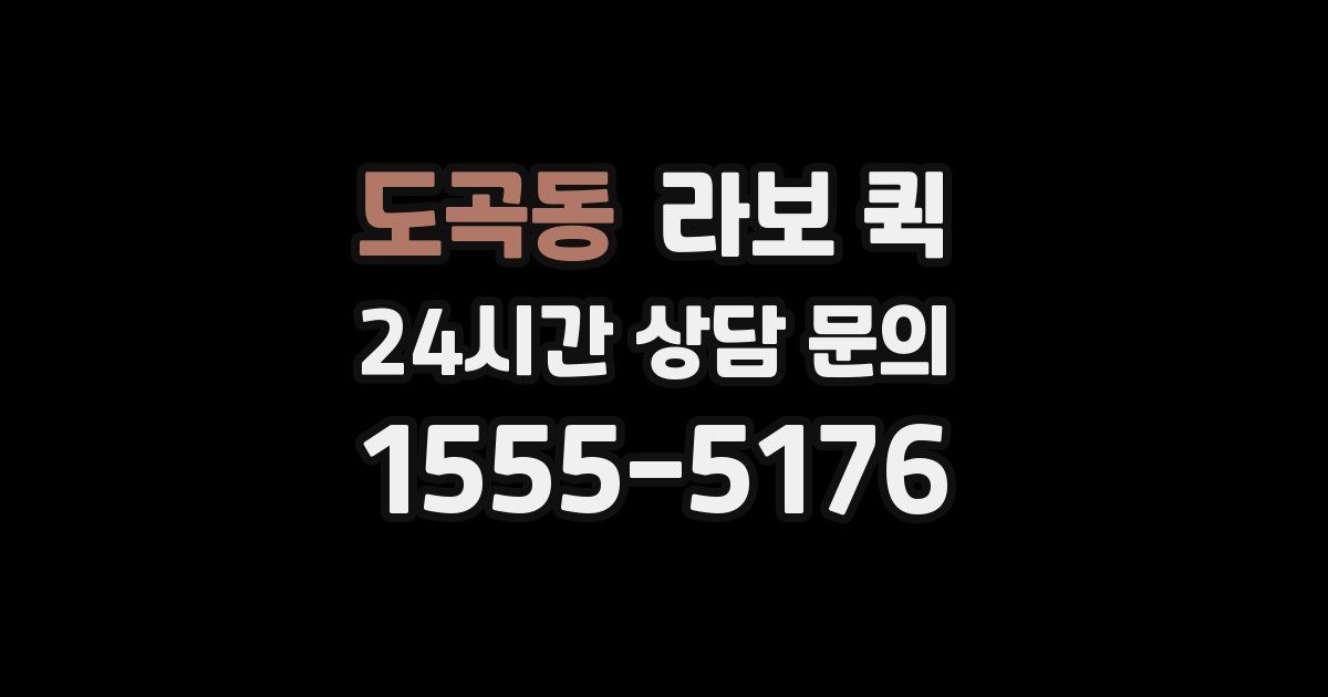 도곡동 라보 퀵