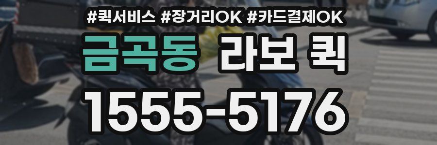 금곡동 라보 퀵