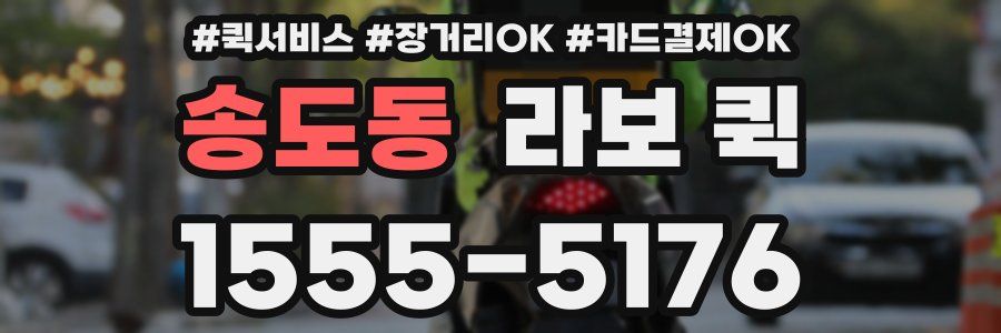 송도동 라보 퀵