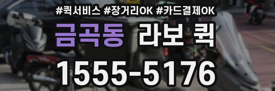 금곡동 라보 퀵