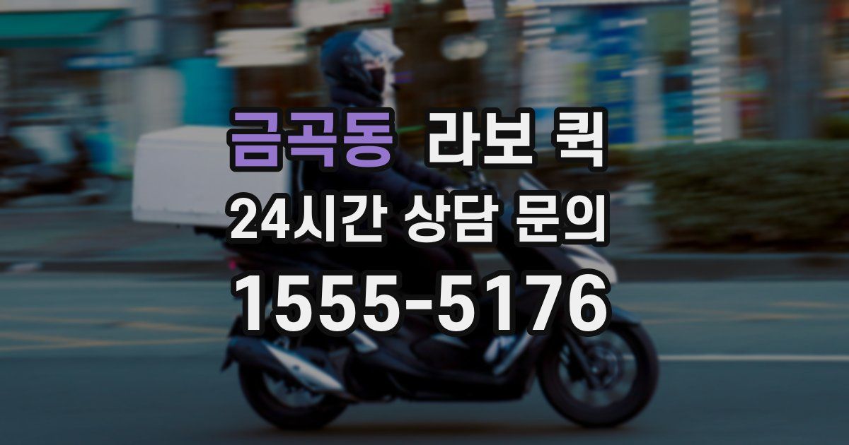 금곡동 라보 퀵