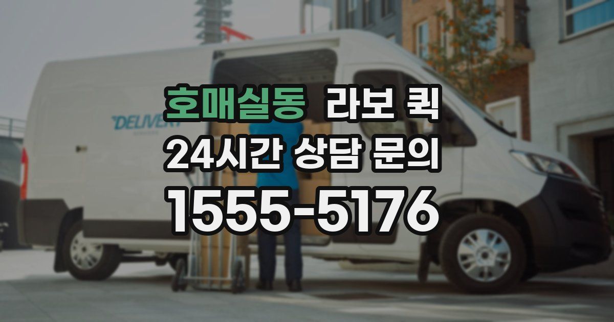 호매실동 라보 퀵