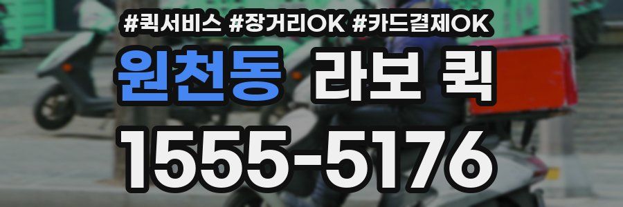 원천동 라보 퀵
