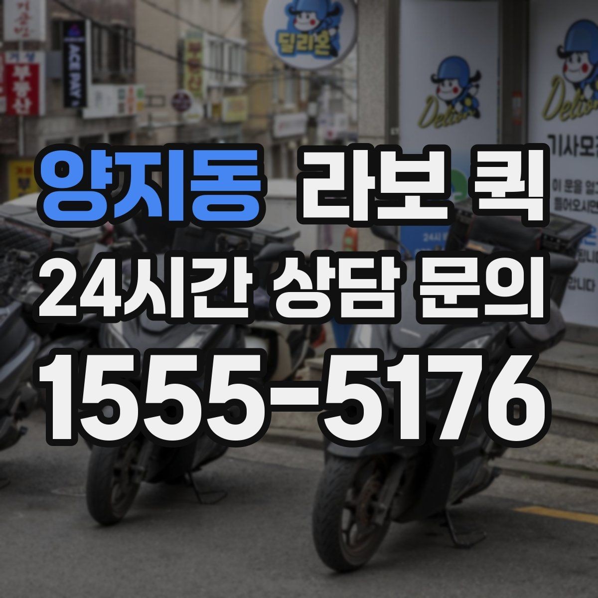양지동 라보 퀵 지역 내 배차가 빠른 상황