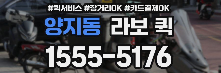 양지동 라보 퀵