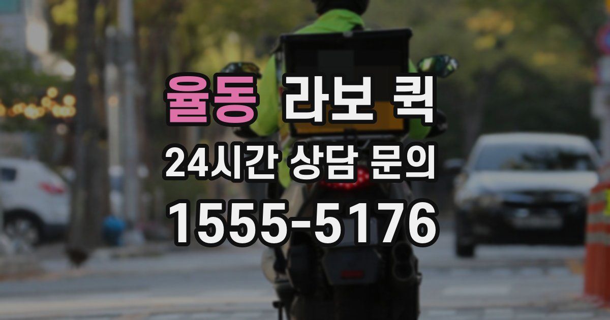 율동 라보 퀵