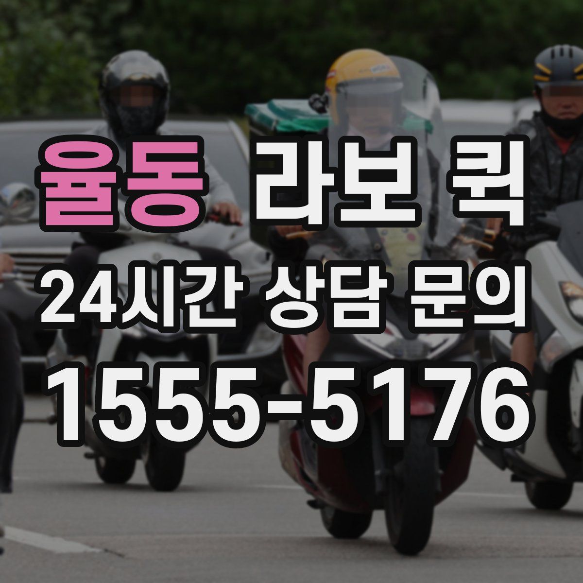율동 라보 퀵
