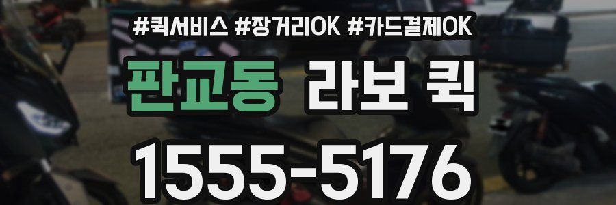 판교동 라보 퀵