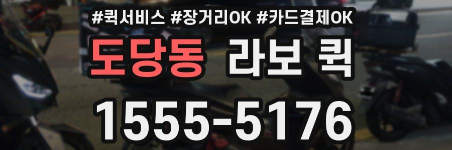 도당동 라보 퀵