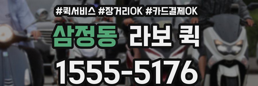 삼정동 라보 퀵