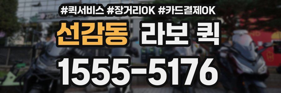 선감동 라보 퀵