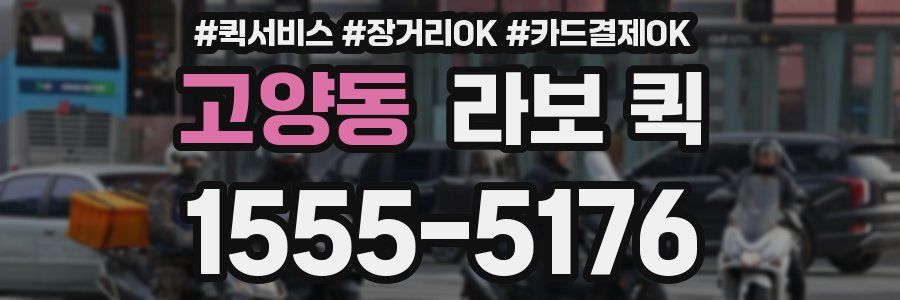 고양동 라보 퀵